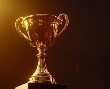 Os vencedores da proteção: Descubra os seguros que fazem a diferença