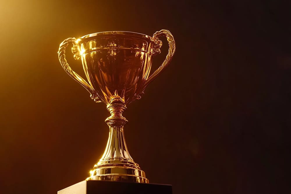 Os vencedores da proteção: Descubra os seguros que fazem a diferença